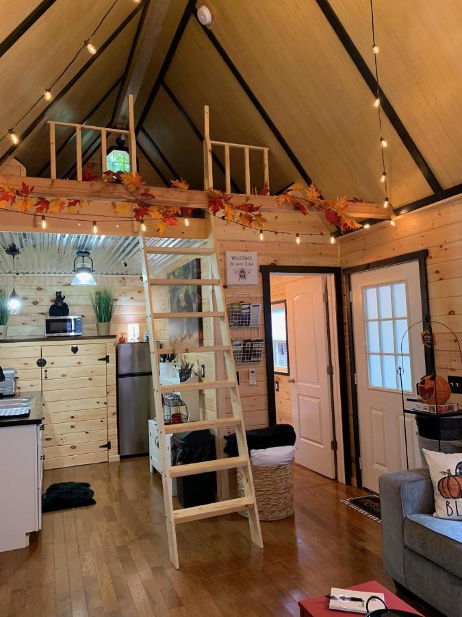 Coops Creek Cabins Dunlap Ngoại thất bức ảnh